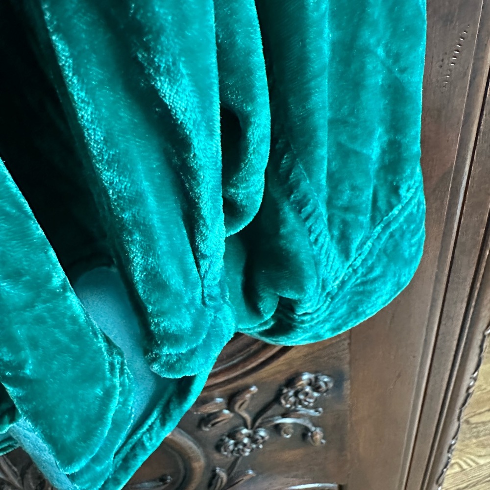 CP Shades Emerald Green Velvet Button-Up Blouse - Picture 5 of 7